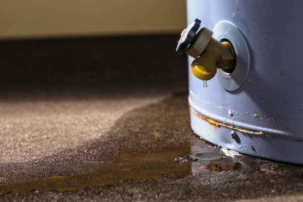 Best Water damage cleanup near me  in Heber Overgaard, AZ