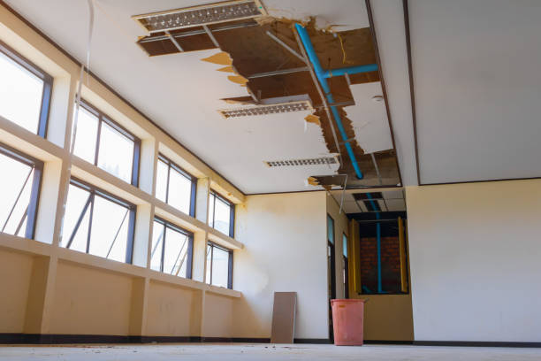 Best Water damage restoration near me  in Heber Overgaard, AZ