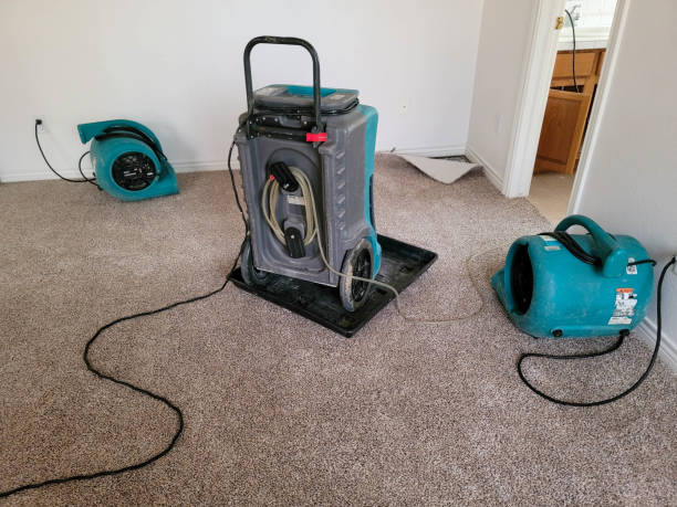 Best Water damage restoration insurance claims  in Heber Overgaard, AZ