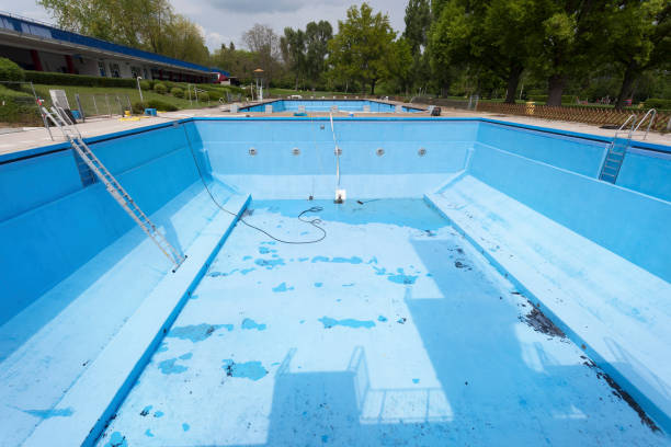 Best Water damage contractors near me  in Heber Overgaard, AZ