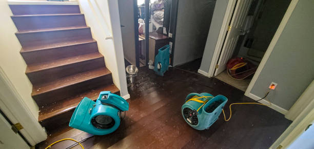 Best Water damage repair service  in Heber Overgaard, AZ