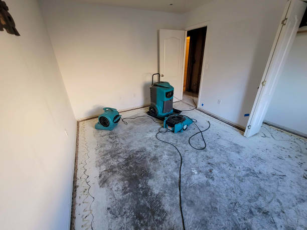 Best Local water damage restoration  in Heber Overgaard, AZ