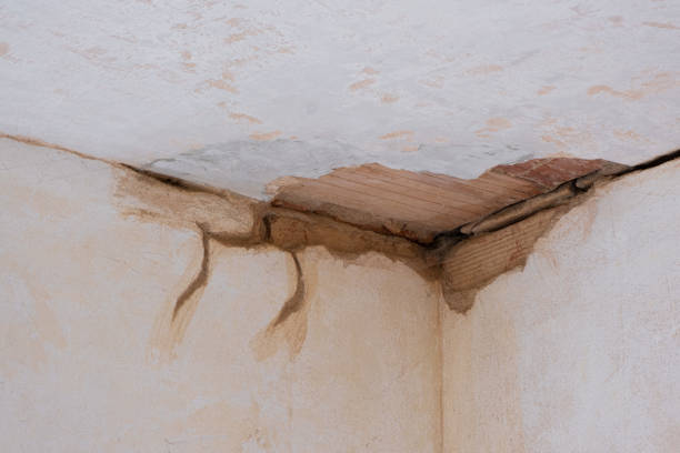 Professional Water damage restoration in Heber Overgaard, AZ