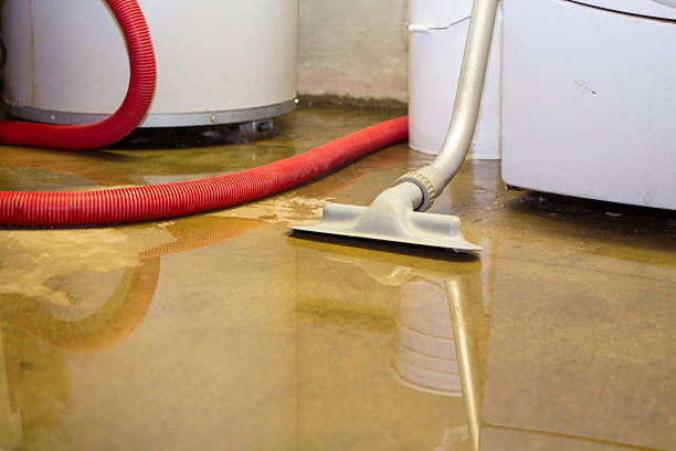 Best Water damage restoration process  in Heber Overgaard, AZ