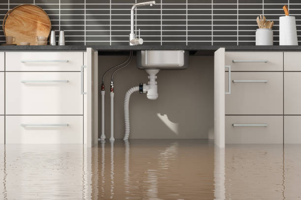 Best Flooded house restoration  in Heber Overgaard, AZ