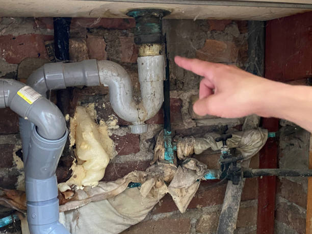Local water damage restoration in Heber Overgaard, AZ