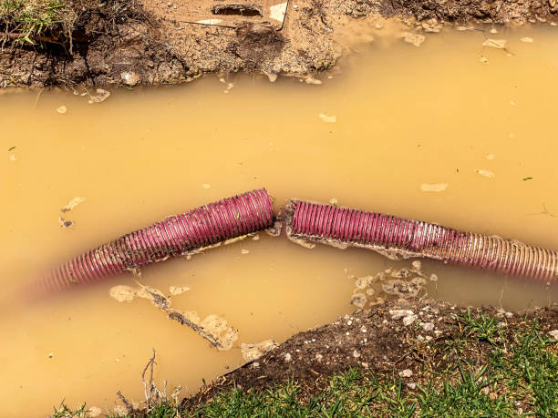 Best Commercial water damage restoration  in Heber Overgaard, AZ