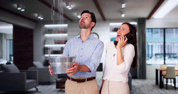 Best Water damage restoration company  in Heber Overgaard, AZ