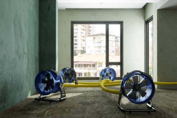 Water damage restoration process in Heber Overgaard, AZ